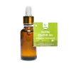Eucalyptus Essential Oil (नैसर्गिक निलगिरी  तेल) - 25ml