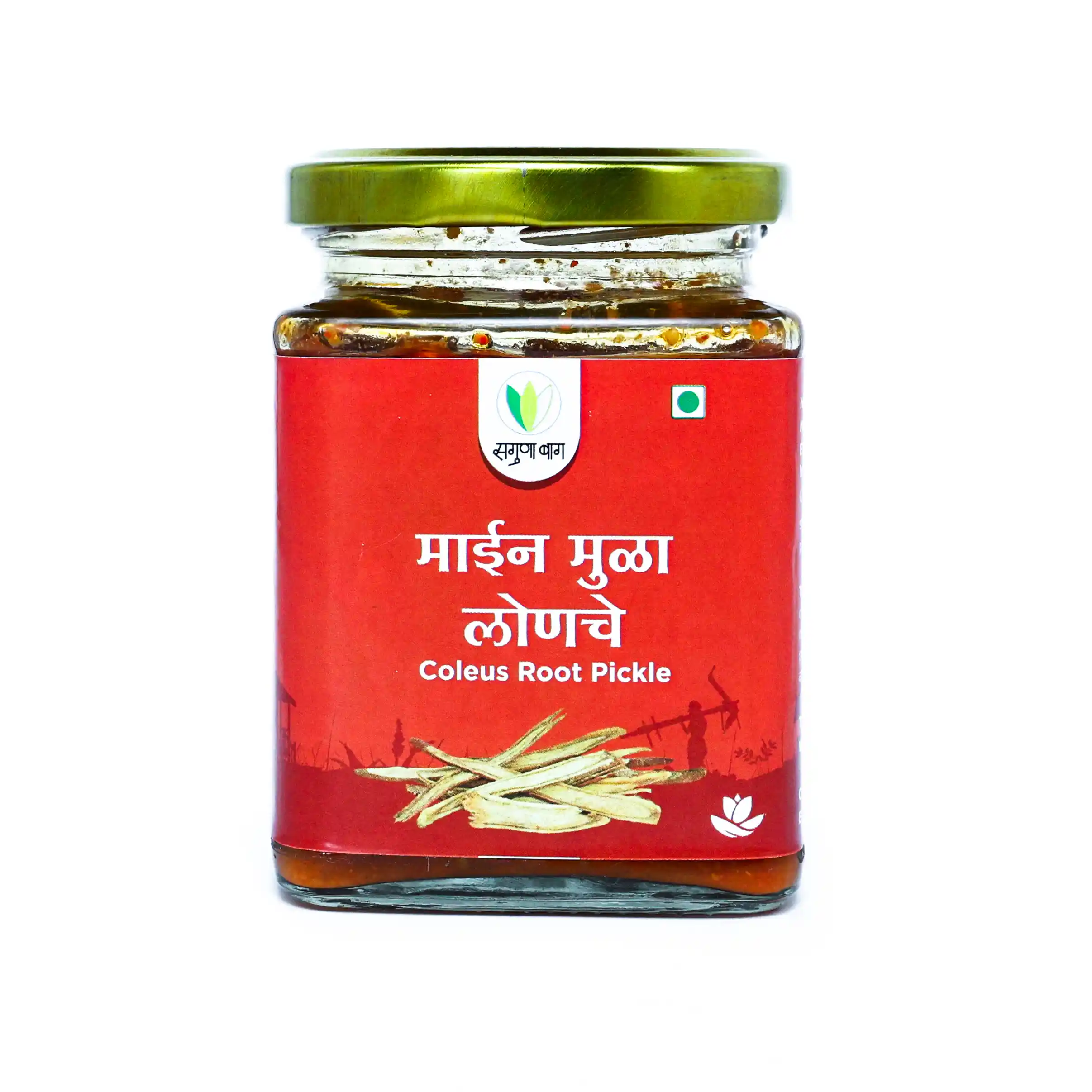 Coleus Roots Pickle (माईनमुळा लोणचे ) - 225 gm