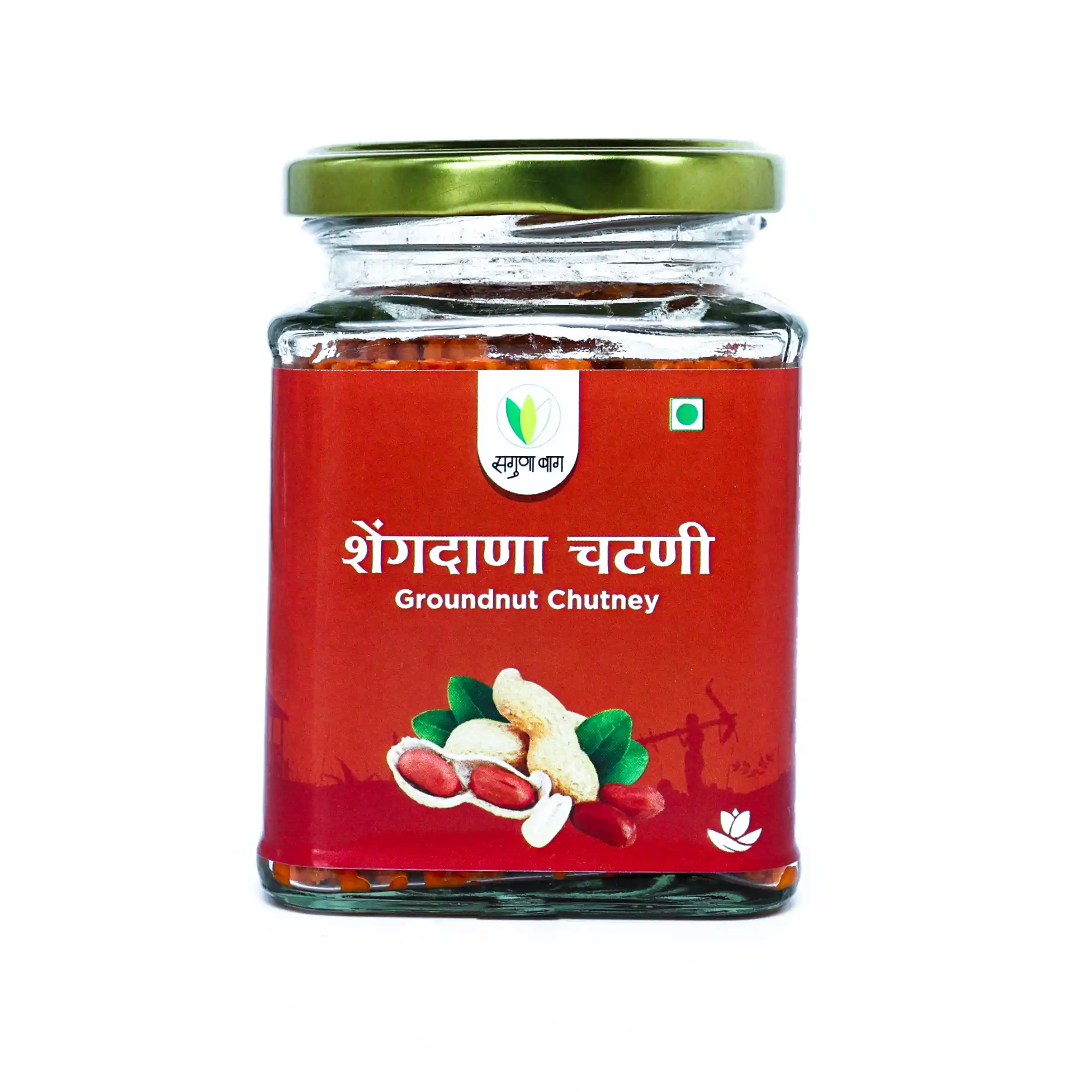 Groundnut Chutney (शेंगदाणा चटणी) - 150 gm