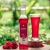 Rose Syrup ( रोज सिरप )500ml - Image 5