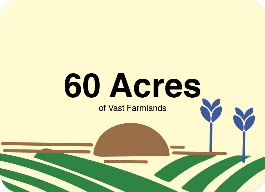 Highlight-3