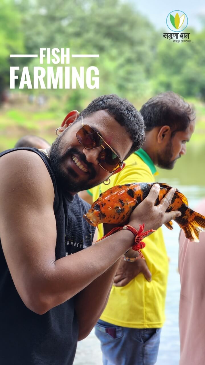 fish-farming