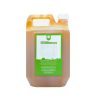 Raw Mango Syrup (कैरी पन्हे ) - 1ltr - Image 2